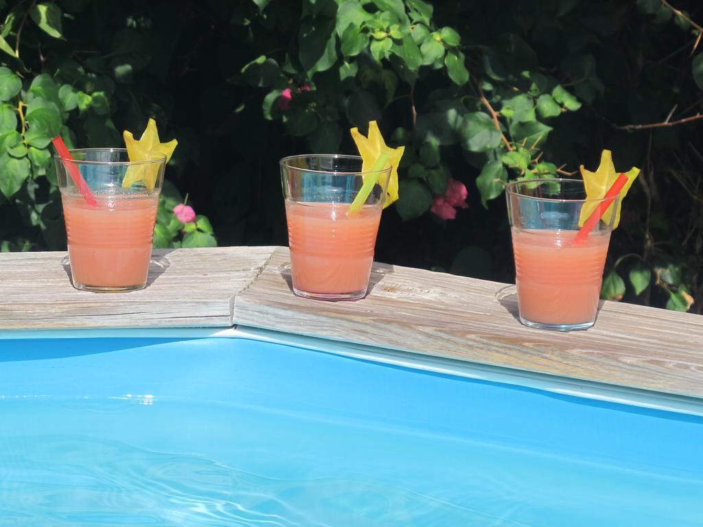 Coquette Villa Du Cap Est Le François 外观 照片